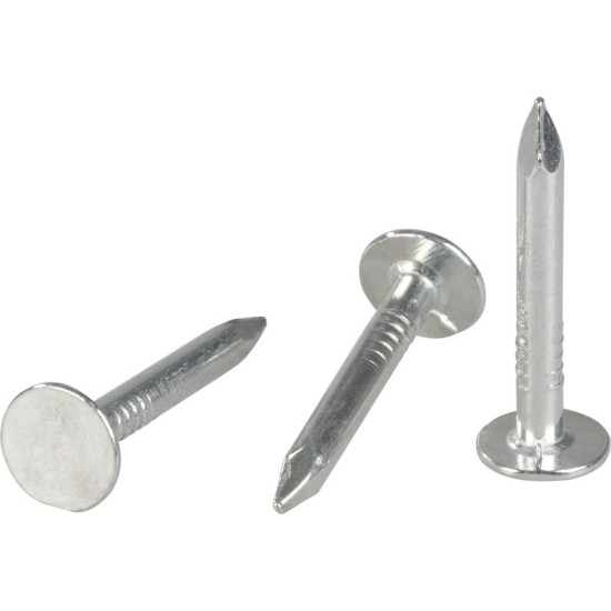 Nails 2825, 25x3.10 mm, roofing, galvanized, pack 2.5 kg