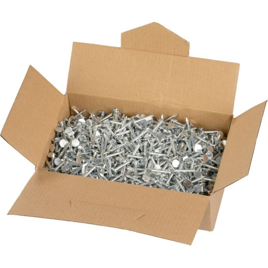 Nails 2825, 25x3.10 mm, roofing, galvanized, pack 2.5 kg