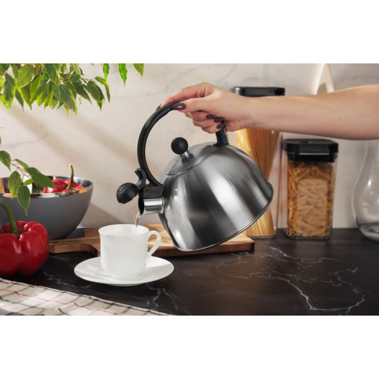 MagicHome teekann, kriuksuv, 2500 ml MagicHome teekann, kriuksuv, 2500 ml
