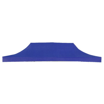 Canvas ELVIS, blue, on the roof