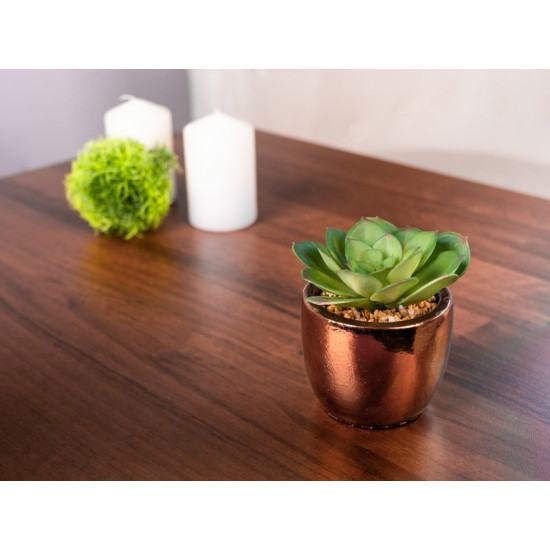 Succulent MagicHome S34042, 15 cm, pott - tsement, kuldne, kunst