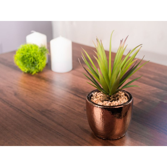 Succulent MagicHome S34041, 19 cm, pott - tsement, kuldne, kunst Succulent MagicHome S34041, 19 cm, pott - tsement, kuldne, kunst
