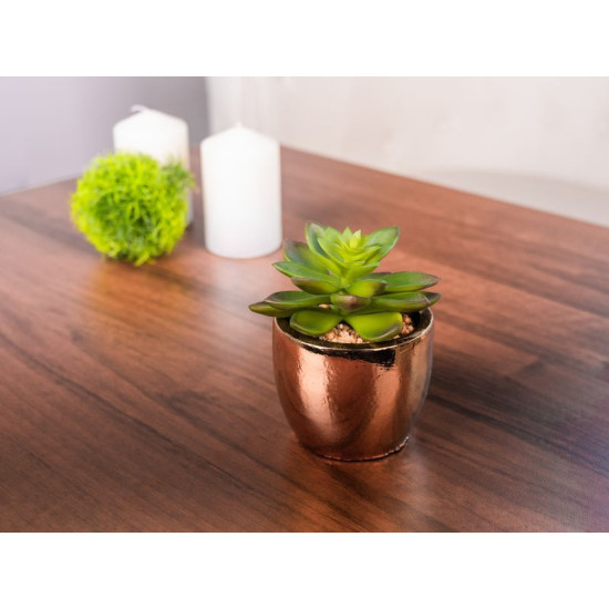 Succulent MagicHome S34040, 12 cm, pott - tsement, kuldne, kunst