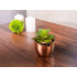 Succulent MagicHome S34040, 12 cm, pott - tsement, kuldne, kunst