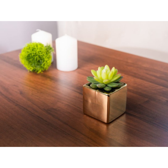Succulent MagicHome SA3905, 15 cm, pott - keraamiline, kuldne, kunst Succulent MagicHome SA3905, 15 cm, pott - keraamiline, kuldne, kunst