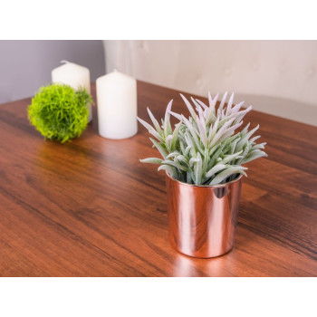 Succulent MagicHome, 16 cm, pot - ceramics, gold