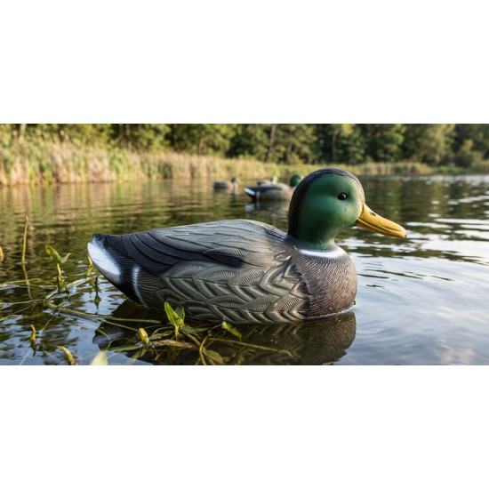 Decoration Wild duck, male, 41x19x17cm, plastic