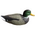 Decoration Wild duck, male, 41x19x17cm, plastic