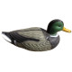 Decoration Wild duck, male, 41x19x17cm, plastic