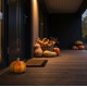 Decoration MagicHome Nature, Pumpkin, terracotta, 10,50x10,50x9,50 cm Decoration MagicHome Nature, Pumpkin, terracotta, 10,50x10,50x9,50 cm