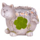 MagicHome decoration, Cat with a flower pot, ceramic, natural, 30x25.5x26.5 cm MagicHome decoration, Cat with a flower pot, ceramic, natural, 30x25.5x26.5 cm