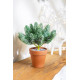Dekoratiivne kaunistus MagicHome, oksad potis, lumine, 20 cm Dekoratiivne kaunistus MagicHome, oksad potis, lumine, 20 cm