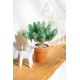 Dekoratiivne kaunistus MagicHome, oksad potis, lumine, 20 cm Dekoratiivne kaunistus MagicHome, oksad potis, lumine, 20 cm