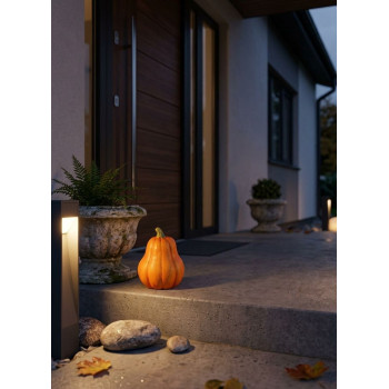MagicHome Nature decoration, Pumpkin, orange, terracotta, 7.5x7.5x10 cm MagicHome Nature decoration, Pumpkin, orange, terracotta, 7.5x7.5x10 cm