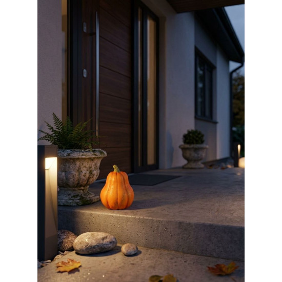 MagicHome Nature decoration, Pumpkin, orange, terracotta, 7.5x7.5x10 cm MagicHome Nature decoration, Pumpkin, orange, terracotta, 7.5x7.5x10 cm