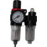 Air filter 1/4";