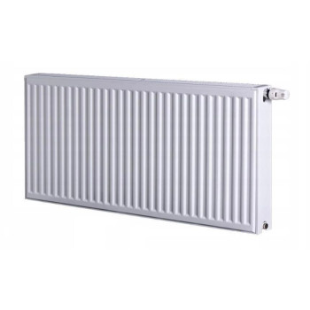 Terasest radiaator 33/300/1100 mm